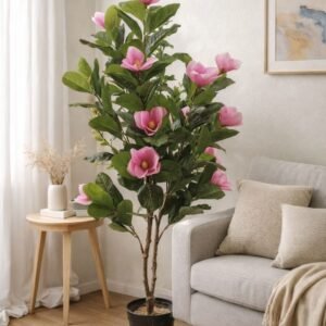 Pink Magnolia Tree (4.5 feet)