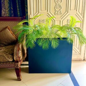 Areca Palm with  Rectangular Planter
