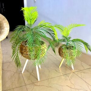 Areca Palm with Woven Globe Tripod Planter (set of 2)