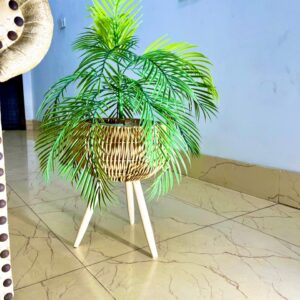 Areca Palm with Woven Tripod Planter(Big)