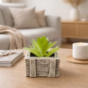 Mini Succulent Planter