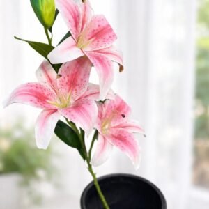 Pink Lily Stem