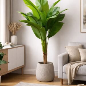 Bird of Paradise (without planter)