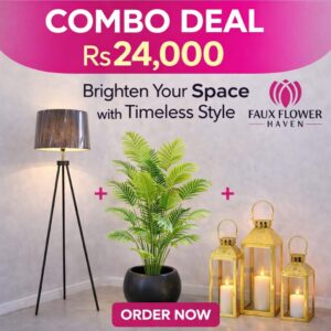 WhatsApp Image 2026-03-29 at 8.51.14 PM (1)