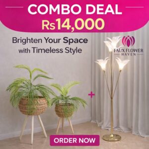 WhatsApp Image 2026-03-29 at 8.51.14 PM