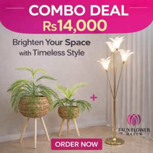 WhatsApp Image 2026-03-29 at 8.51.15 PM