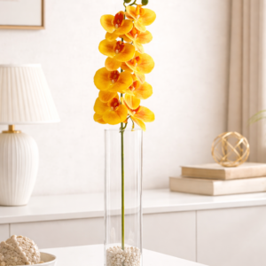 Golden Glow Orchid Stem