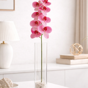Ruby Pink Orchid Stem