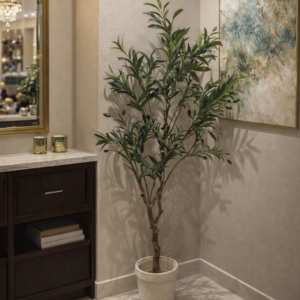 Olive tree 4.4 feet