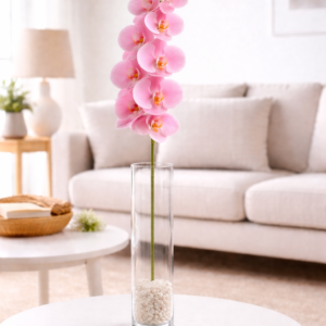 Soft Pink Orchid Stem