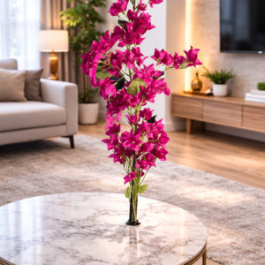 Bougainvillea Stem