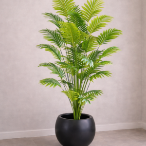 Green Haven Palm