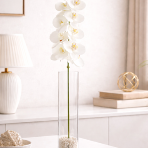 Pure White Orchid Stem
