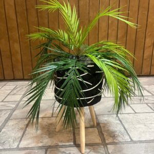 Tropical Palm Accent