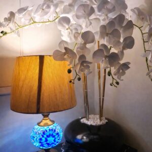 Orchid Plant and Decorative Lamp Set