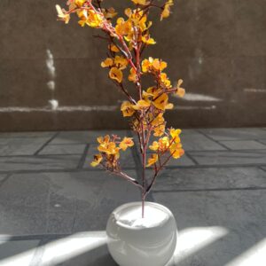 Yellow Flower Branch in White Pot