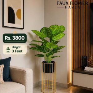 Calathea