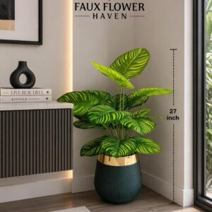 Philodendron