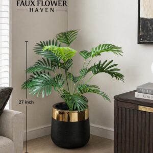 Areca Palm