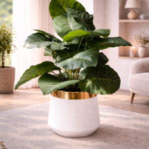 Gold Trimmed White Planter with Green Plant