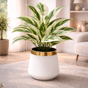 Gold Trimmed White Planter with Green Plant