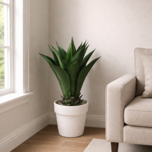 Modern Agave Decor