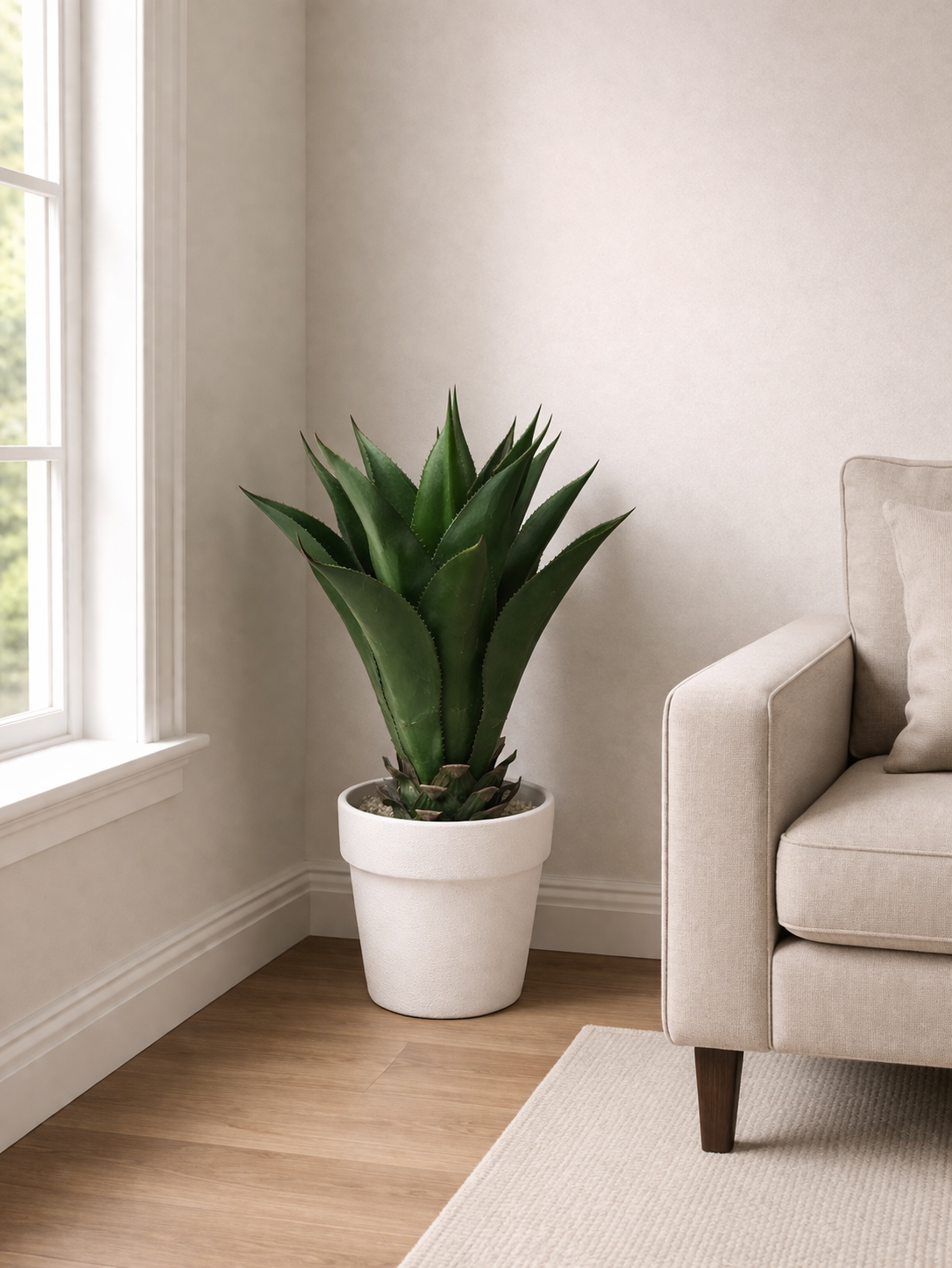 Modern Agave Decor