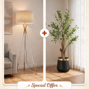 Sophisticated Lighting & Olive Tree Combo