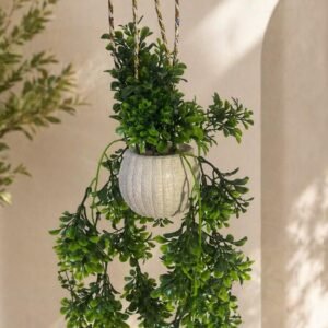 The Verve Hanging Vine