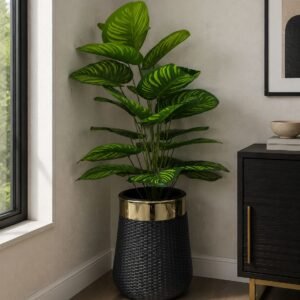 The Luxe Verde Woven with zebra leaf money plant (4.5 feet)