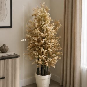 Cream Blossom Corner Plant
