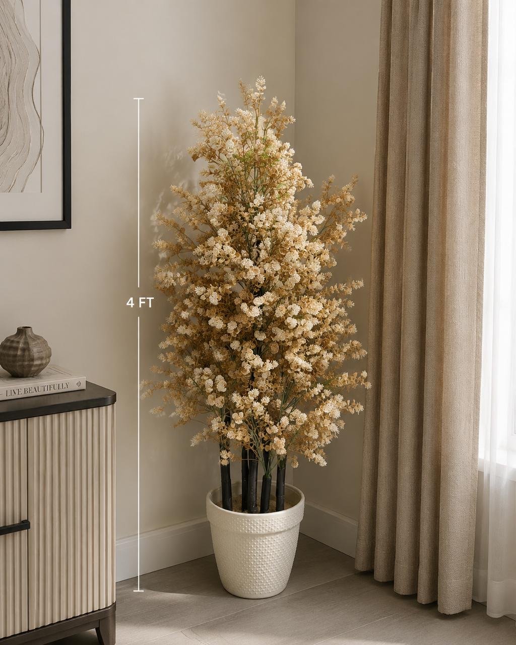Cream Blossom Corner Plant
