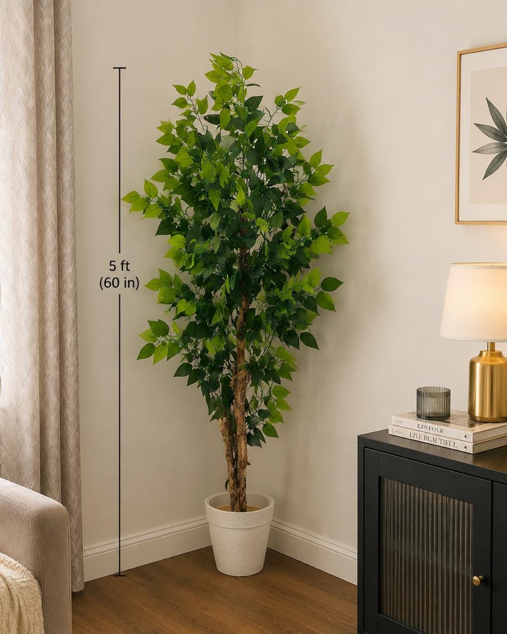 Verdant Corner Ficus