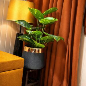 Aura Corner