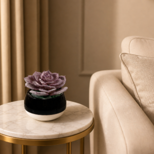 Noir Luxe Succulent