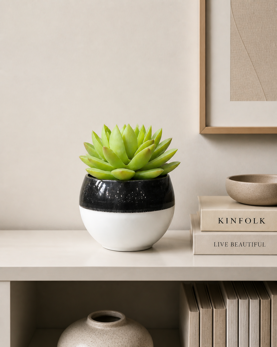Minimalist Succulent Display
