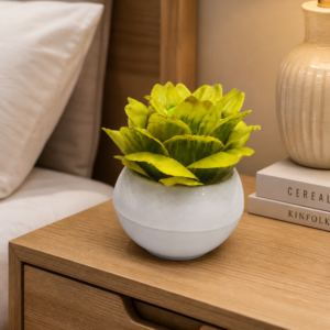 Elegant Mini Succulent Plant Decor