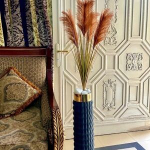 The Solis Pampas Statement