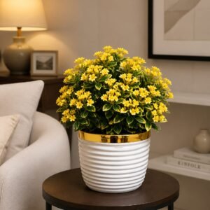 Yellow Blossom Plant