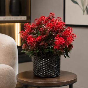 Artificial Red Blossom Plant in Black Textured Pot