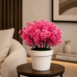 Pink Blossom Plant