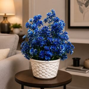 Blue Blossom Plant