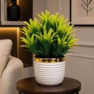 Lime Green Fern Plant