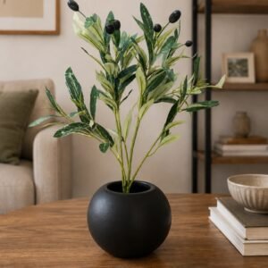 Black Olive Accent Pot