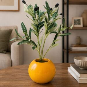 Olive Glow Pot(1.5 feet)