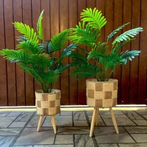 Decorative Tropical Plant with planter set
