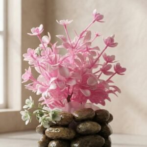 Pink Stone Plant