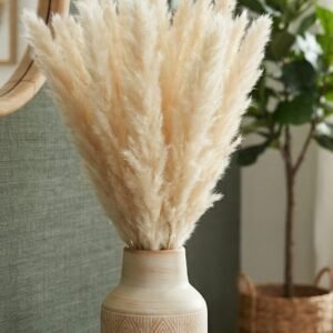 Pampas