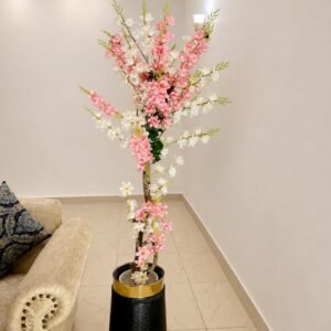 Pink and White Blossom Floor Plant(6 feet)