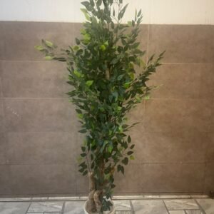 Artificial Ficus Tree